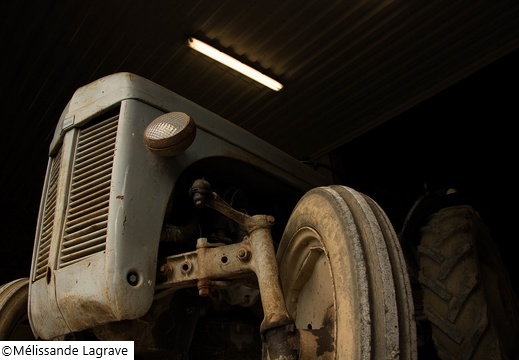 Photographie d'un vieux tracteur "Massey Ferguson"