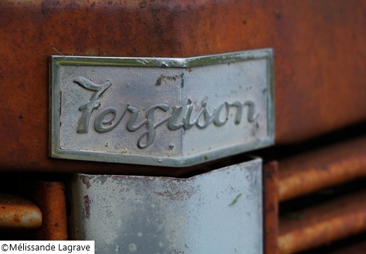 Photographie d'une plaque de tracteur "Ferguson".