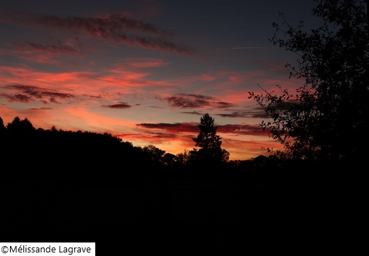 Paysages et nature - display this album Paysages et nature