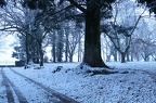 Paysages hivernaux