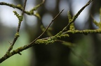 Photographie de nature.