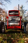 Photographie d'un tracteur Massey Ferguson 140